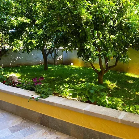 Domo Sa Funtana Apartment Olmedo Exterior photo